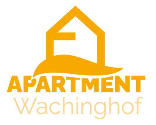 ריית ביי קיצבוהל Apartment Wachinghof מראה חיצוני תמונה